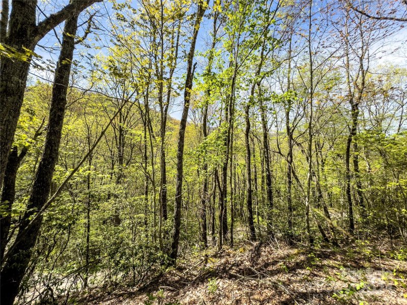 Property image 2 of 2414 Black Rock Road in Black Rock Creek, Qualla, NC 28719