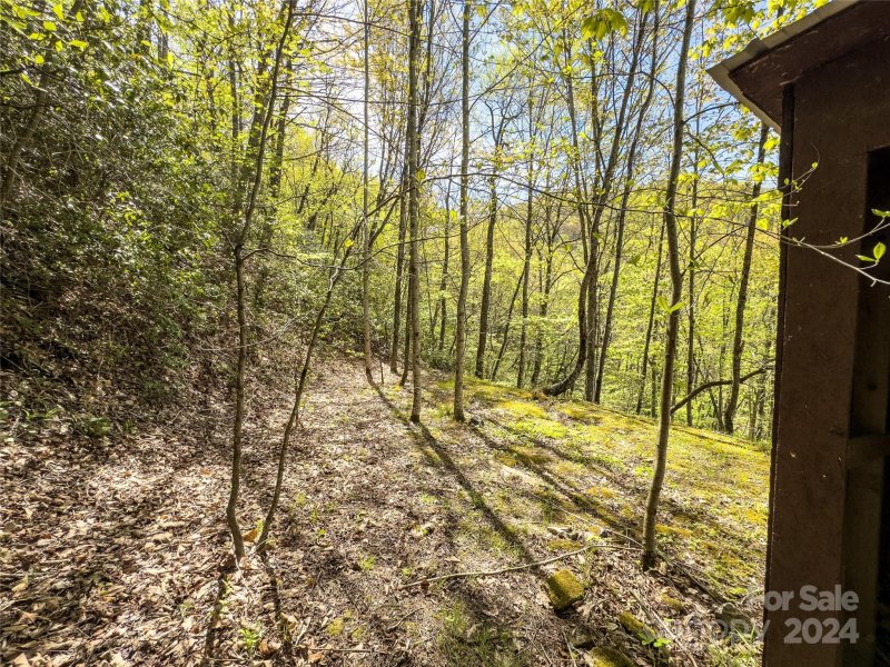 Property image 4 of 2414 Black Rock Road in Black Rock Creek, Qualla, NC 28719