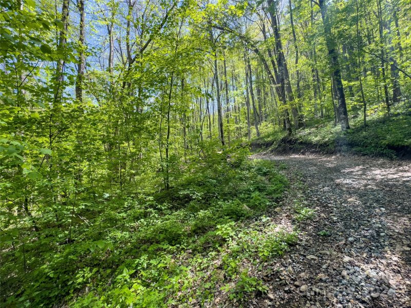 Property image 2 of Lot 74 Black Rock Road in Black Rock Creek, Qualla, NC 28719