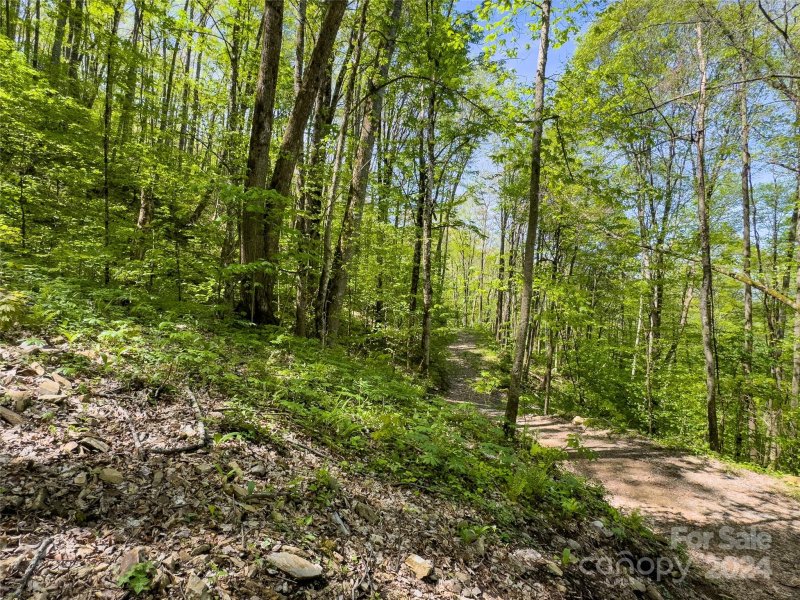 Property image 4 of Lot 74 Black Rock Road in Black Rock Creek, Qualla, NC 28719