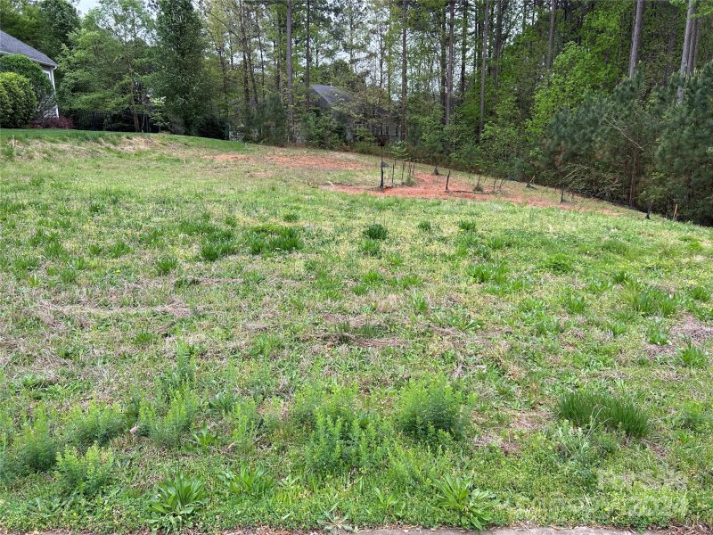 204 Woodward Ridge Drive