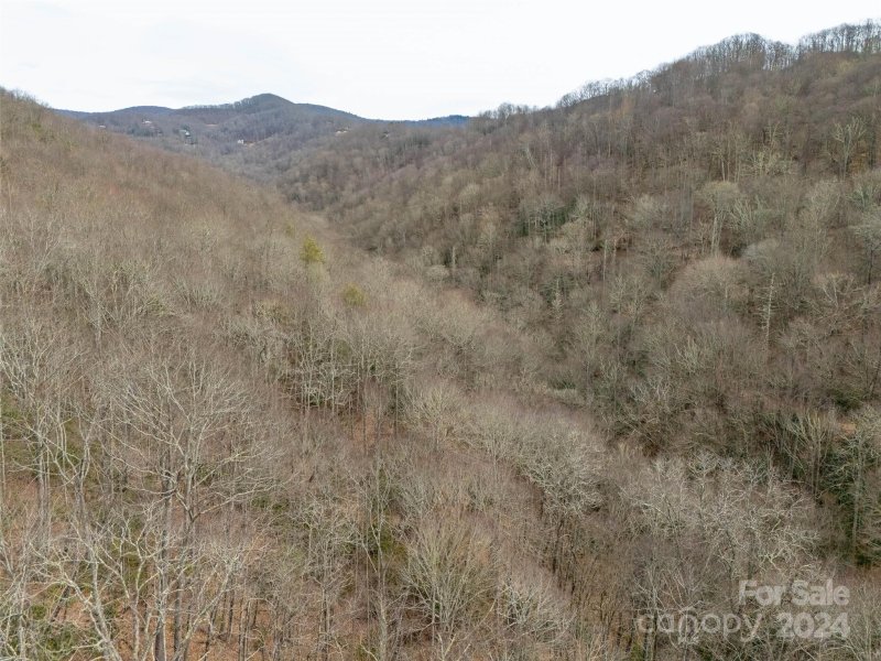 Property image 5 of Lot 111 Cranberry Creek Road in Cranberry Falls, Maggie Valley, NC 28751