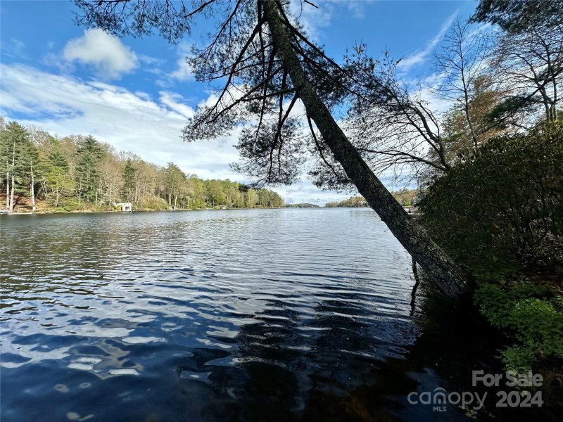 Property image 5 at L83 North Club Boulevard, Lake Toxaway, NC 28747