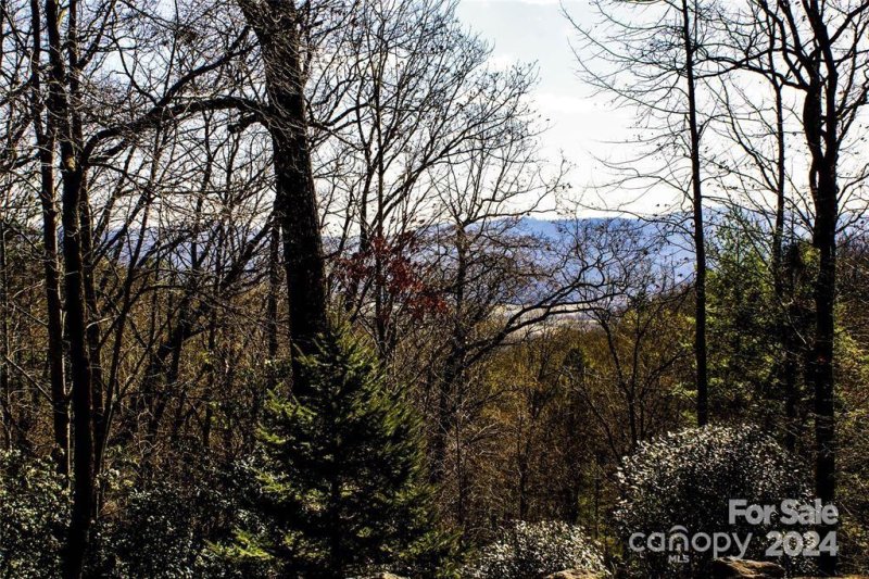 Property image 3 at M77 Pine Mountain Trail, Brevard, NC 28712