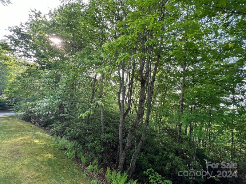 Property image 5 at M77 Pine Mountain Trail, Brevard, NC 28712