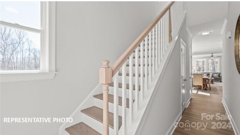 Property image 3 at 10524 Audubon Ridge Drive, Cornelius, NC 28031