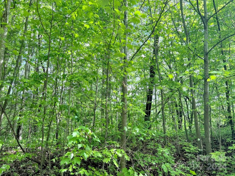 Property image 2 at L 99 Hoosier Court, Lake Junaluska, NC 28745