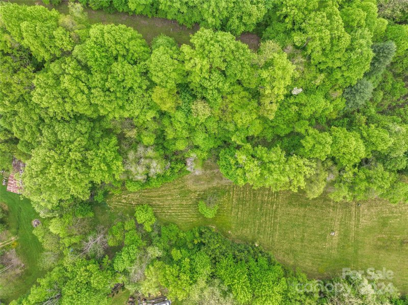 Property image 3 at 00 Turtle Rock Lane, Waynesville, NC 28785