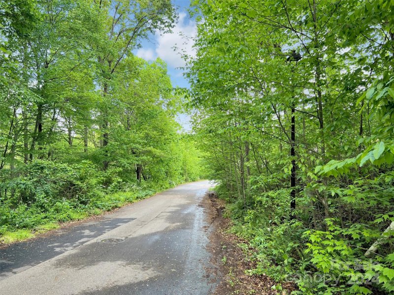 Property image 4 at L 100 Hoosier Court, Lake Junaluska, NC 28745