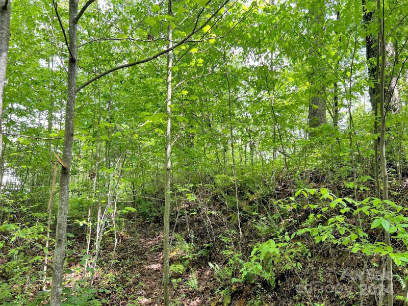 Property image 2 of L 102 Hoosier Court in Lake Junaluska Assembly, Lake Junaluska, NC 28745