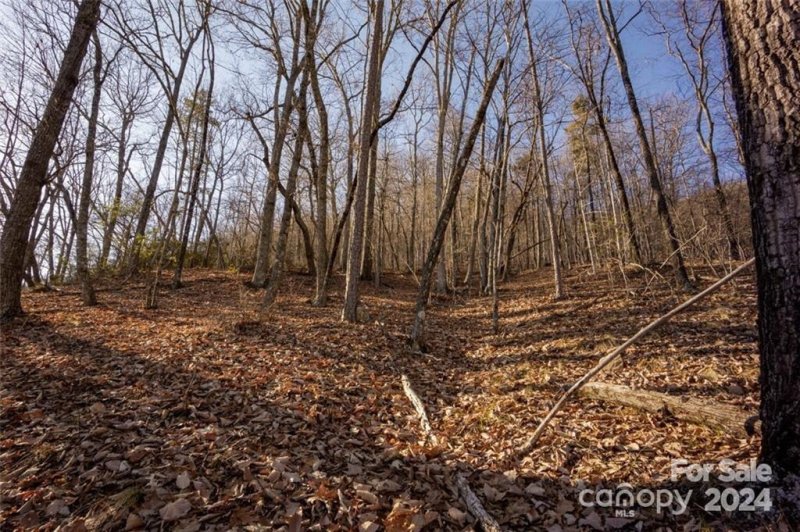 Property image 2 at 000 Martha Lynns Lane, Lake Lure, NC 28746