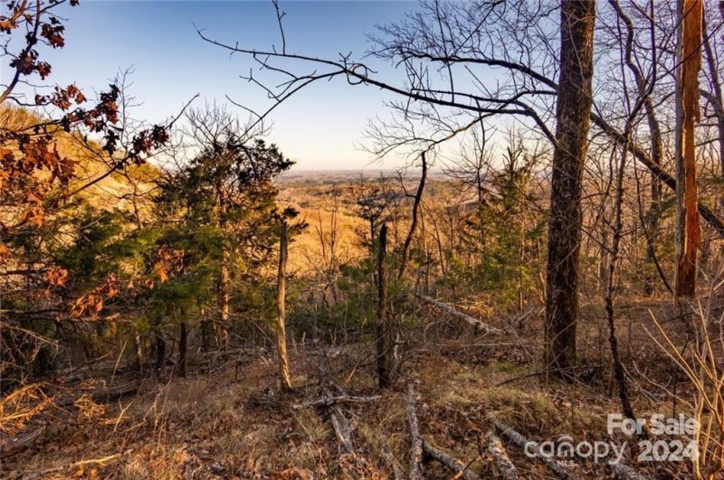 Property image 3 at 000 Martha Lynns Lane, Lake Lure, NC 28746