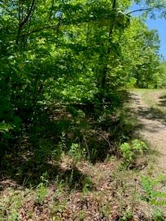 Property image 3 at Lot 742 Rhododendron Drive, Old Fort, NC 28762