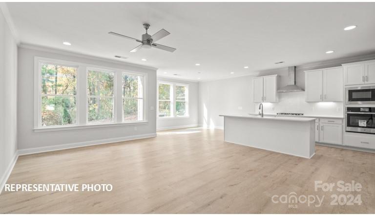 Property image 3 at 10536 Audubon Ridge Drive, Cornelius, NC 28031