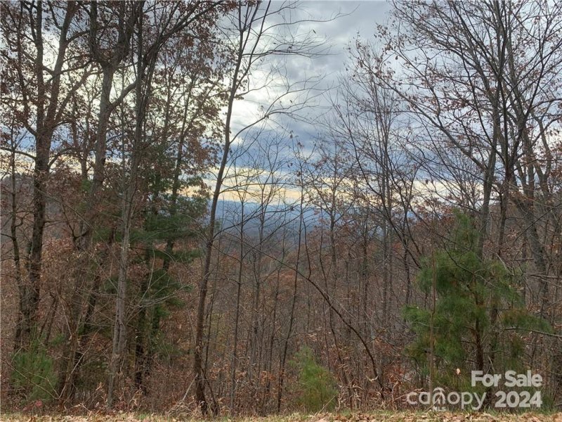 Property image 2 of 15 Waxwing Way in Versant, Asheville, NC 28804