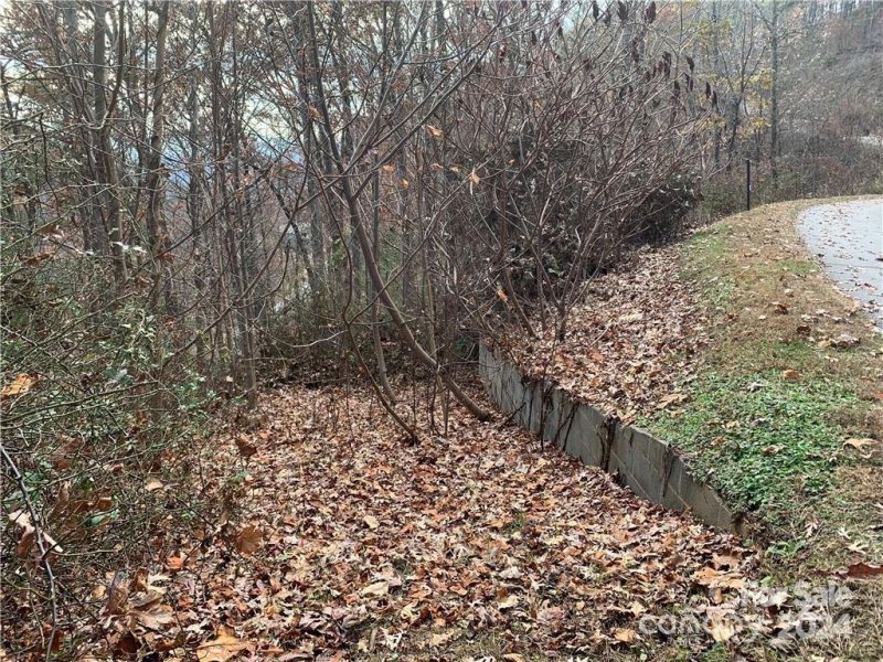 Property image 3 of 15 Waxwing Way in Versant, Asheville, NC 28804