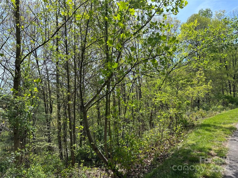 Property image 5 of 15 Waxwing Way in Versant, Asheville, NC 28804
