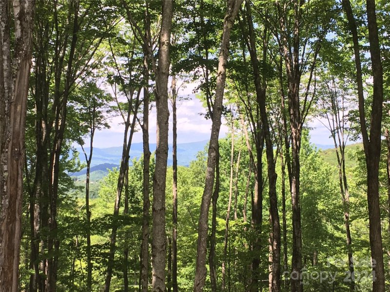 Property image 3 at 122 Lakeledge Circle, Beech Mountain, NC 28604