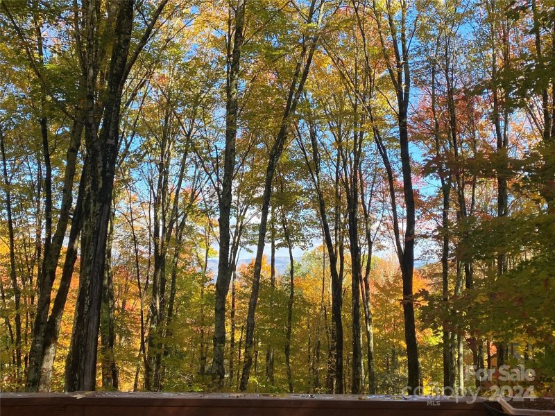 Property image 4 at 122 Lakeledge Circle, Beech Mountain, NC 28604