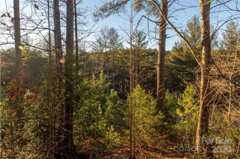 Property image 4 at 3358 Peninsula Pointe Drive, Valdese, NC 28690