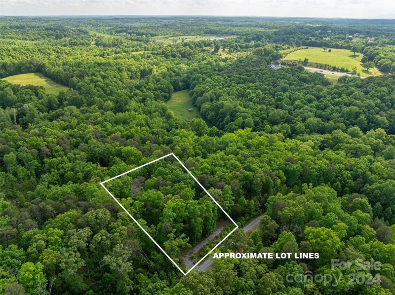 Property image 4 at 366 Walkaloosa Way, Mooresboro, NC 28114