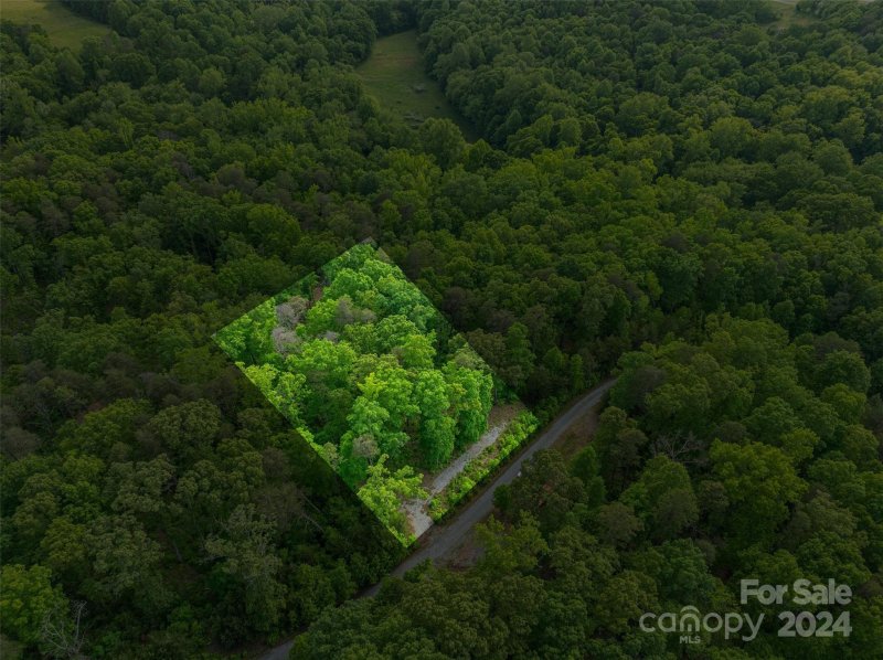 Property image 5 at 366 Walkaloosa Way, Mooresboro, NC 28114