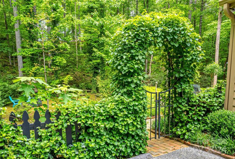 Property image 4 at 301 Chickadee Lane, Brevard, NC 28712