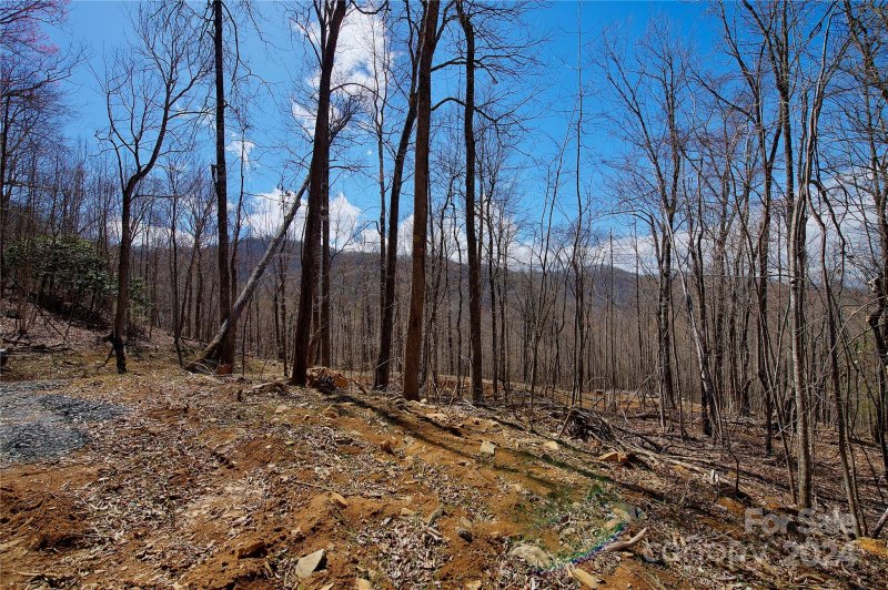 Property image 3 at 000 Pebble Ridge Road, Spruce Pine, NC 28777