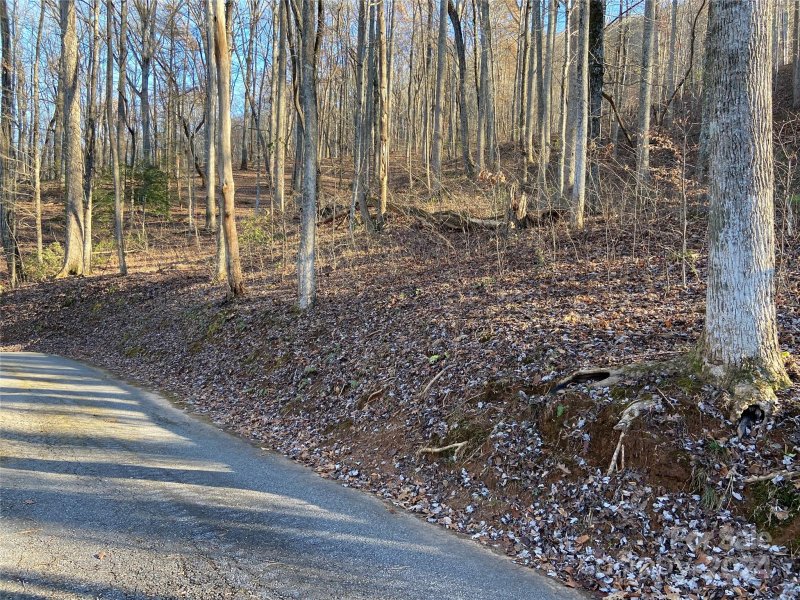 Property image 3 at 0 High Pines Loop, Lake Lure, NC 28746