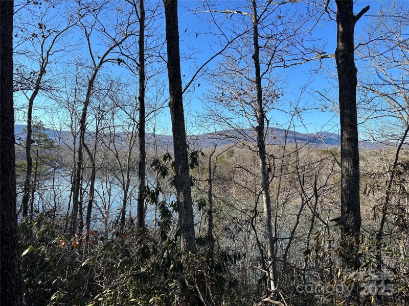 Lot 62 Lake Adger Parkway