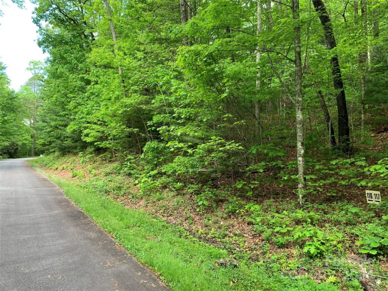 Property image 3 at Lot 116 Green Hollow Lane, Brevard, NC 28712