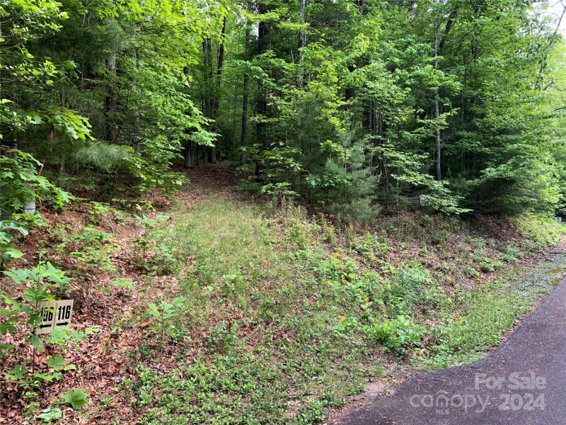 Property image 4 at Lot 116 Green Hollow Lane, Brevard, NC 28712