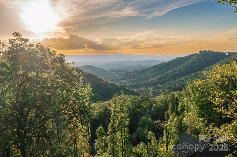 Reynolds Mountain, Asheville Community