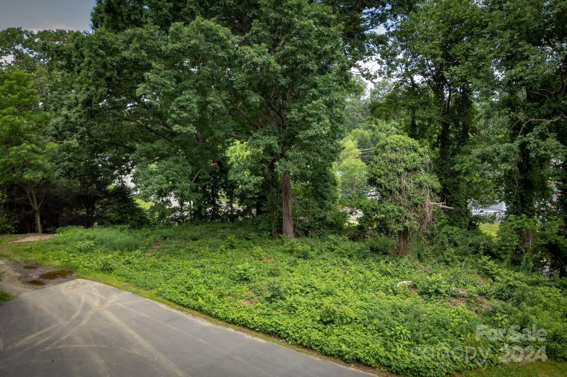 Property image 3 at 99999 Tunnel Road, Asheville, NC 28805