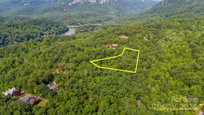 Property image 2 at Lot 14 Mintwood Court, Lake Lure, NC 28746