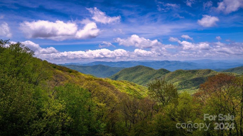 Property image 2 at 9999 Weatherwatch Lane, Waynesville, NC 28786