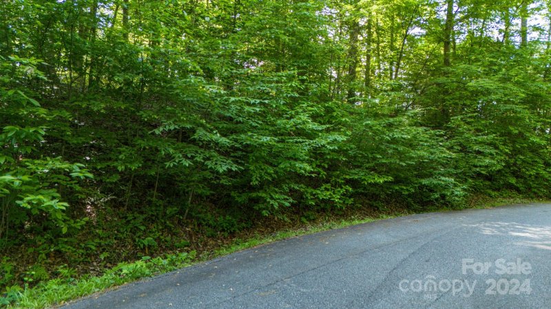 Property image 5 at 159 Deer Leap None, Marshall, NC 28753