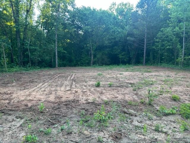 Property image 5 at 8001 Dow Road, Charlotte, NC 28269