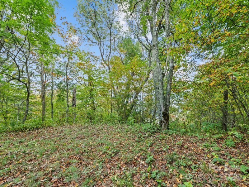 Property image 2 at Lot E17 Adela Trail, Maggie Valley, NC 28751