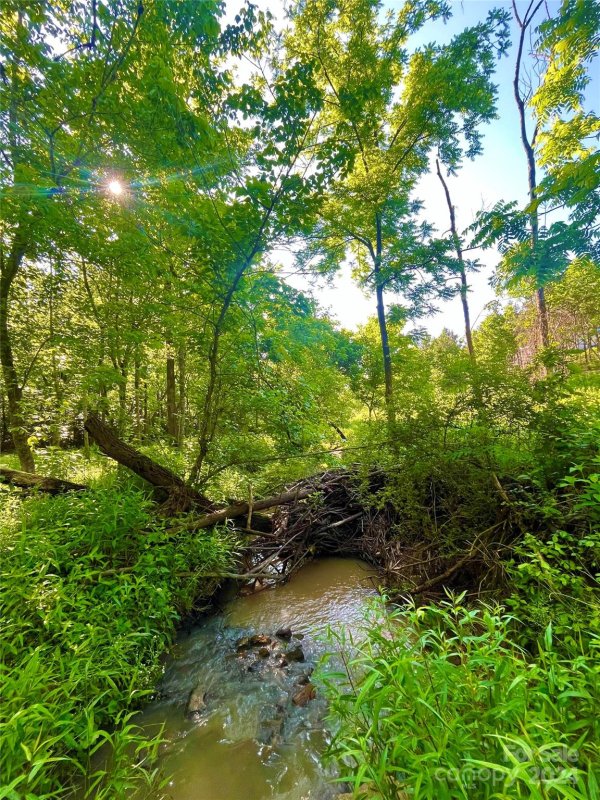 Property image 3 of 151 Lot Ryleigh Dan Place in Davidson Pond, Mooresville, NC 28115