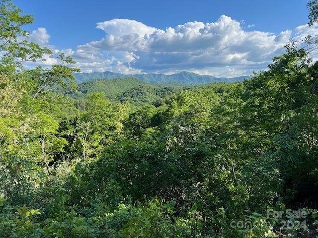 Property image 2 at Lot 70 Round Top Road, Almond, NC 28702