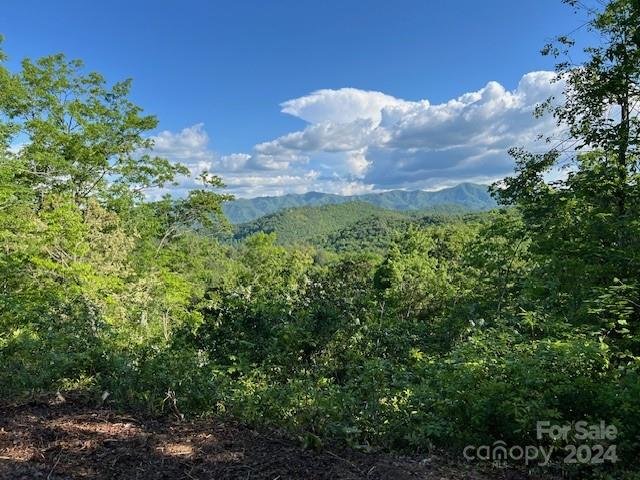 Property image 5 at Lot 70 Round Top Road, Almond, NC 28702