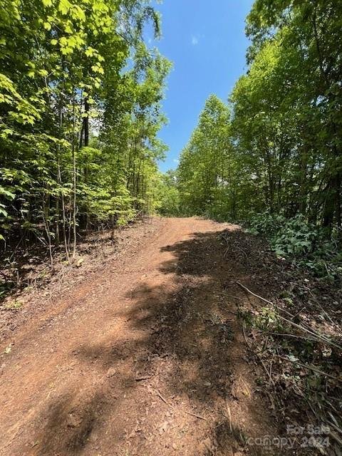 Property image 5 at Lot 69 Musket Road, Almond, NC 28702