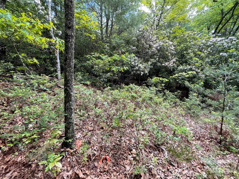 Property image 3 of 72 Emma Bri Lane in Dogwood Mountain Estates, Penrose, NC 28766