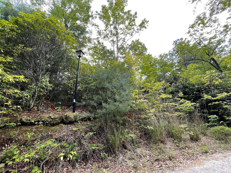 Property image 4 of 72 Emma Bri Lane in Dogwood Mountain Estates, Penrose, NC 28766