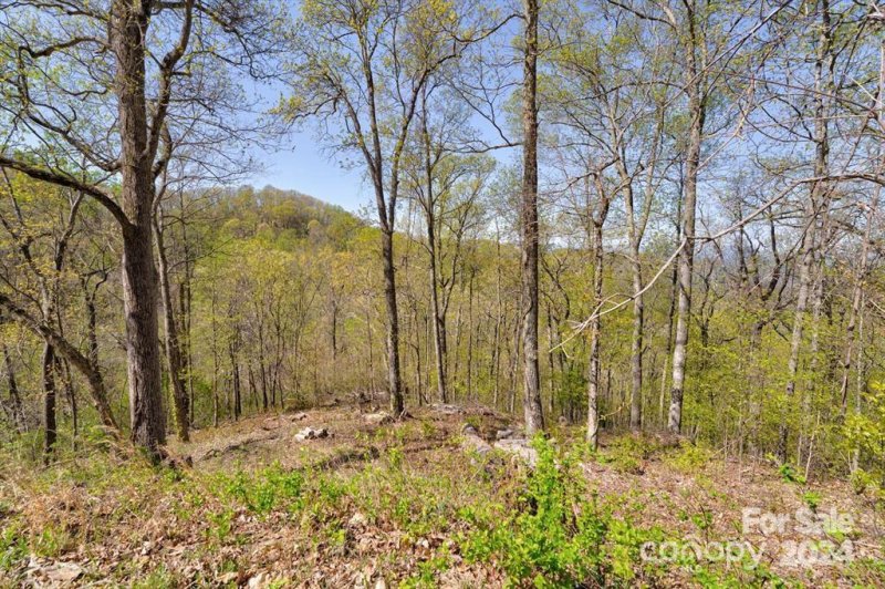 Property image 2 at 740 Glen Valley Drive, Weaverville, NC 28787