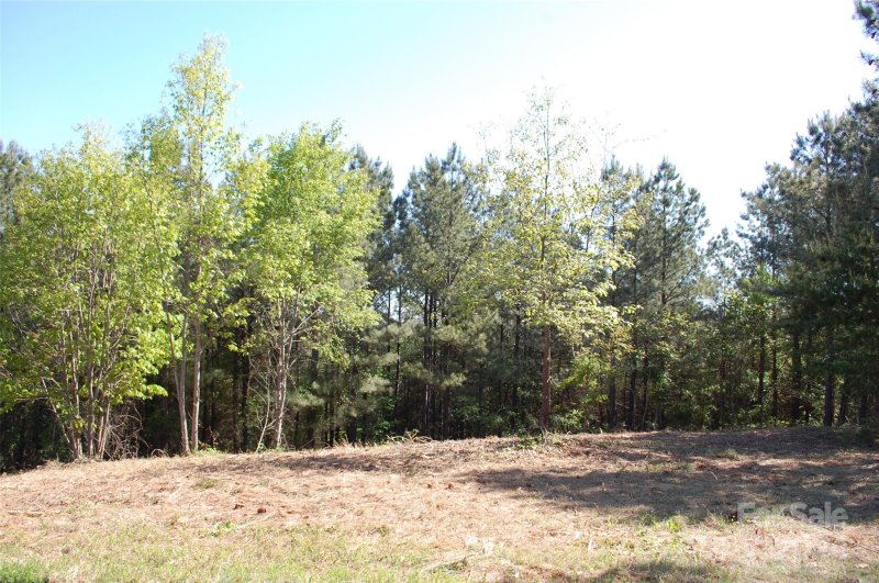 Property image 3 at Lot 10 Moore Mountain Lane, Ellenboro, NC 28040