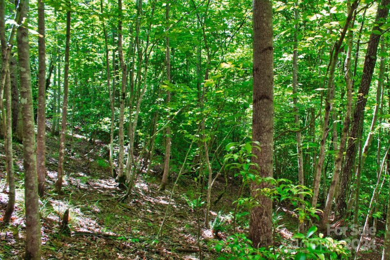 Property image 3 at 0 Juniper Creek Drive, Lake Lure, NC 28746