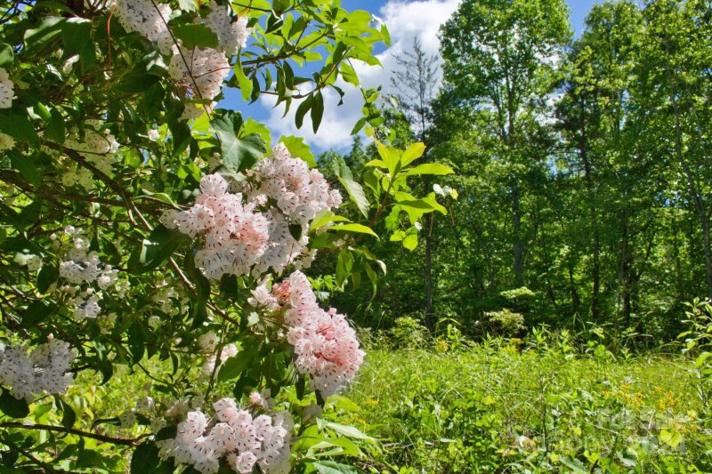 Property image 4 at 0 Juniper Creek Drive, Lake Lure, NC 28746