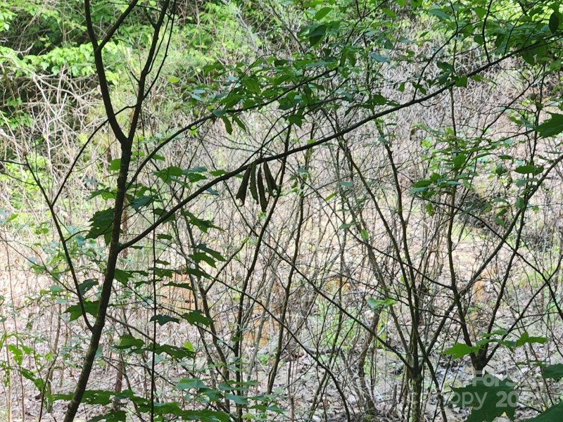 Property image 4 of 00 Hickory Nut Lane in Riverbend Highlands, Lake Lure, NC 28746